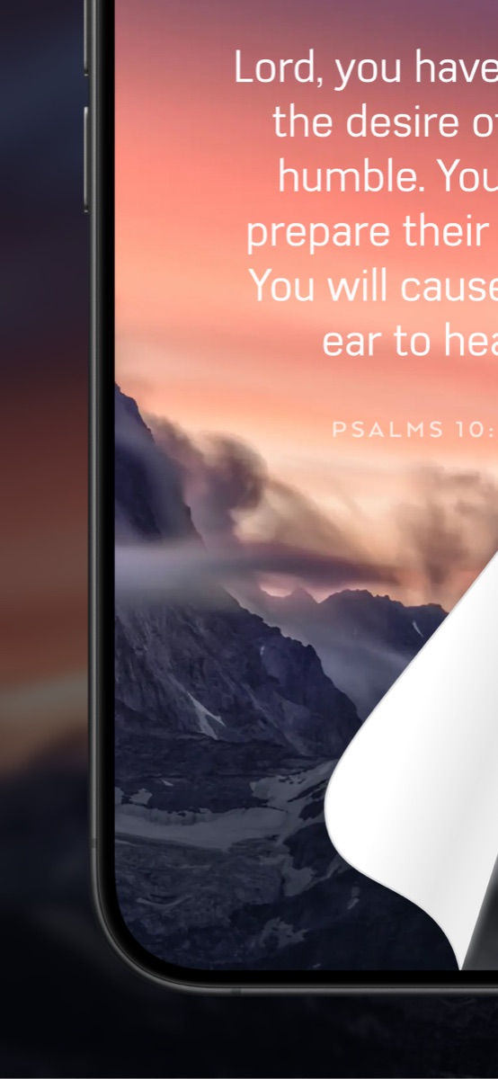 #Bible brand Custom Product Page, screenshot 2
